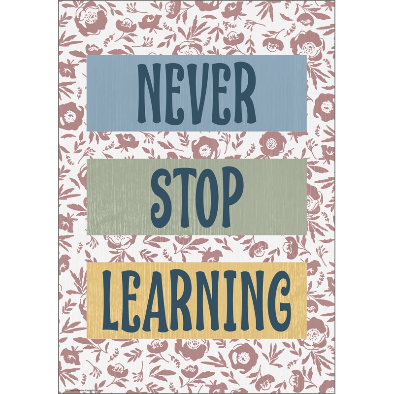 Never Stop Learning Positive Poster