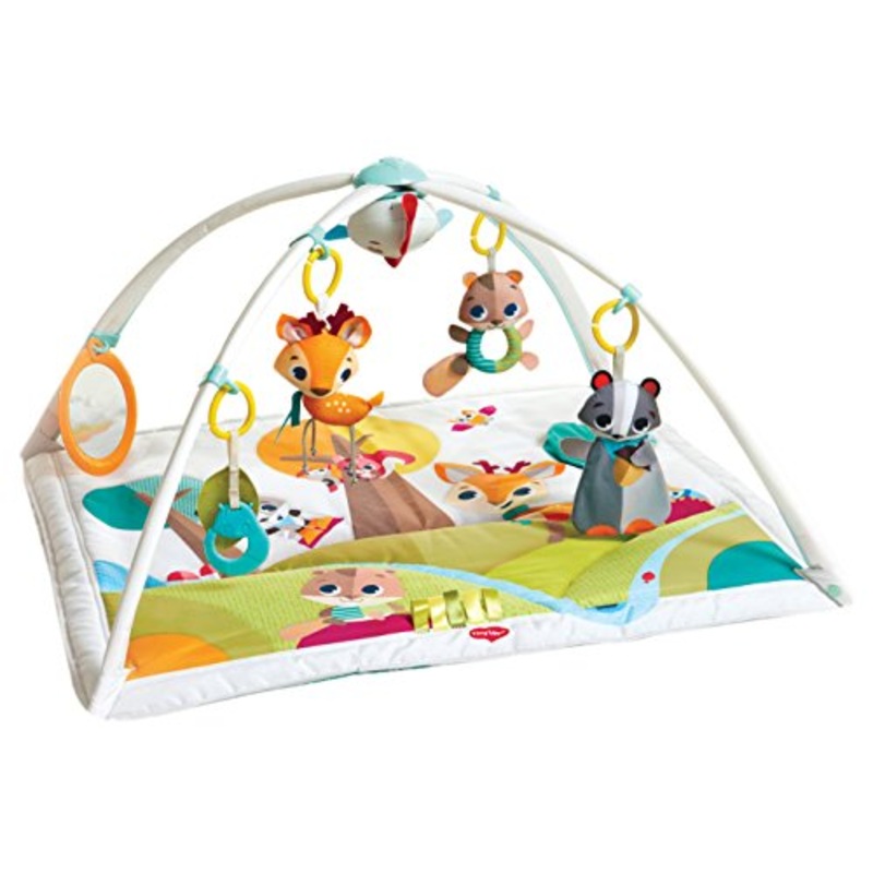 Tiny Love Gymini Deluxe Activity Gym, Into the Forest