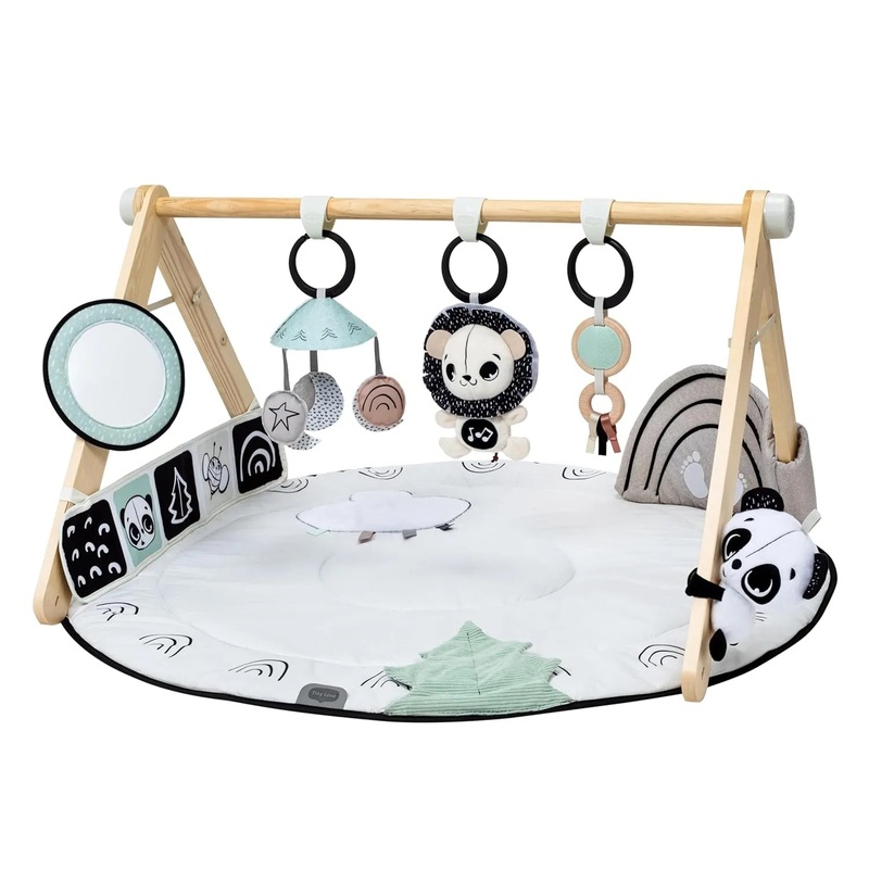 Luxe Developmental Gymini  Black