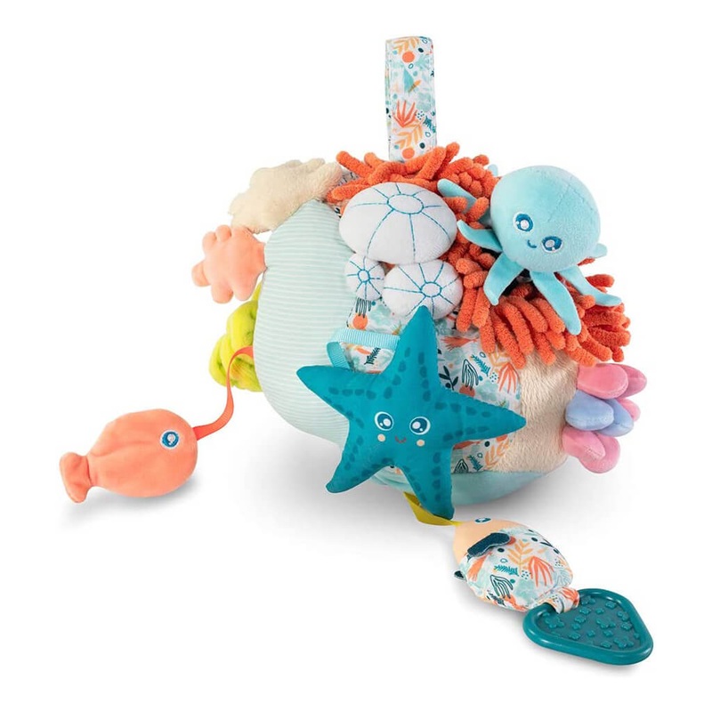 Sensorial Reef