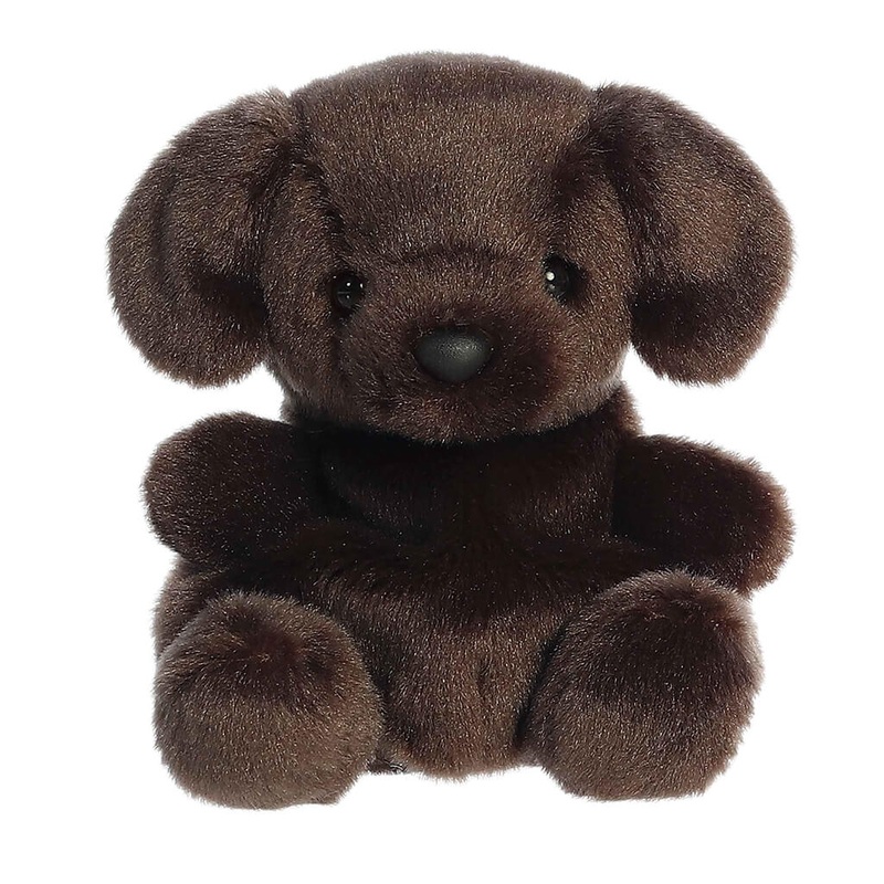 Palm Chocolate Lab