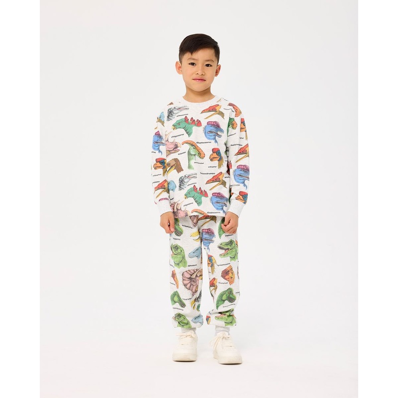 Dino Bright Track Pants – Grey Marle