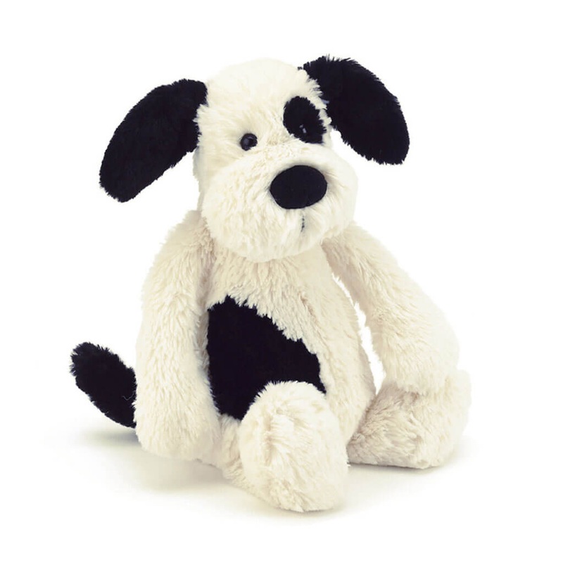 Bashful Black and Cream Puppy