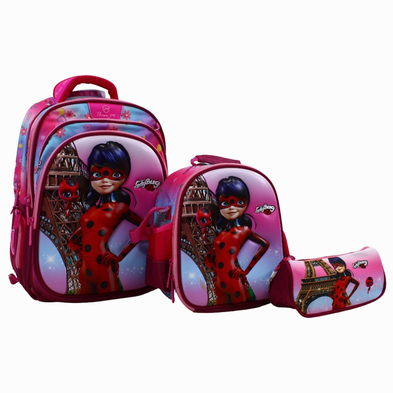 Ladybug School Set  16 Inches