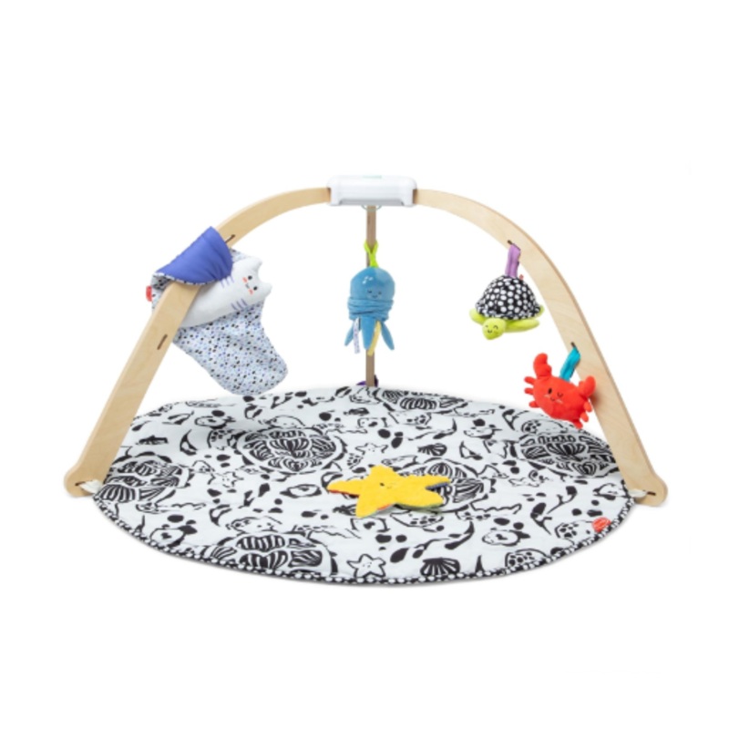 Melissa & Doug Ocean Easy-Fold Play Gym
