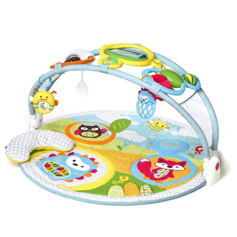 Skip Hop Explore & More Amazing Arch Activity Gym