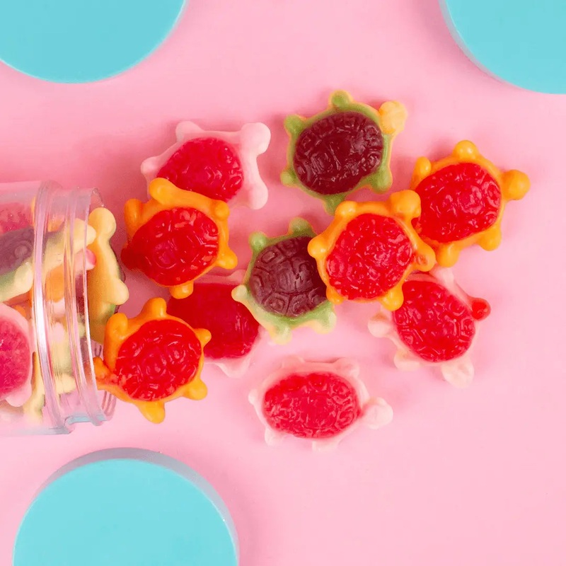 Candy Club Jellyshell Sea Turtles