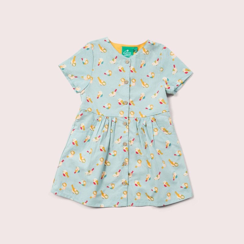 Little Green Radicals – Rainbow Birds Button Through Shot Sleeve Dress