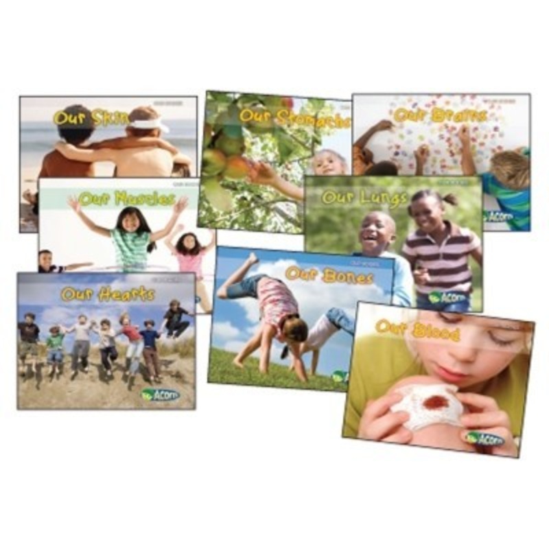 Our Bodies Book Set