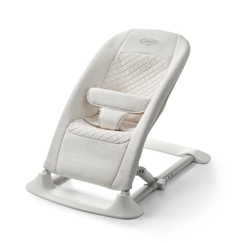 JumpStart 4-in-1 Activity Bouncer, Wren (See Description)