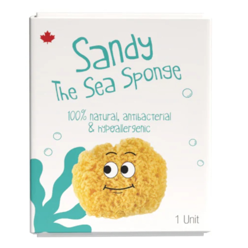 Sandy The Sea Sponge