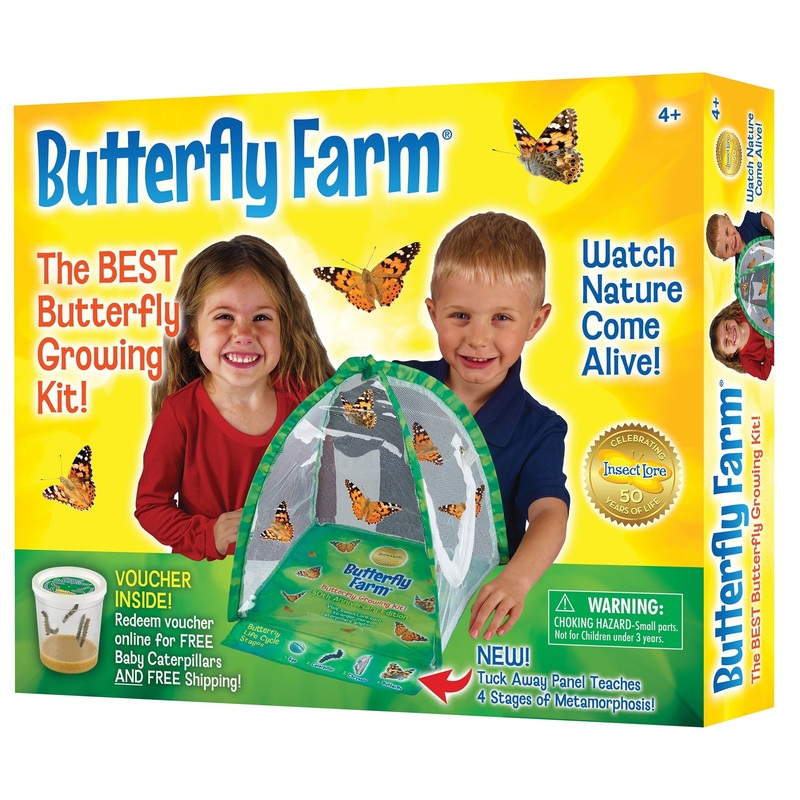 Butterfly Farm With PREPAID Voucher
