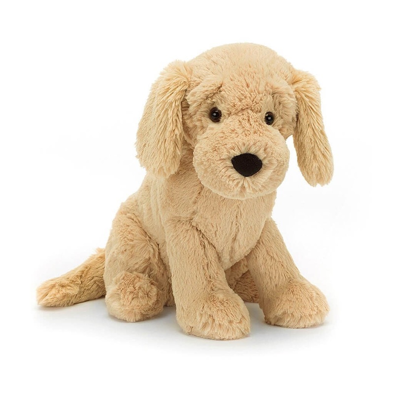 Tilly Golden Retriever