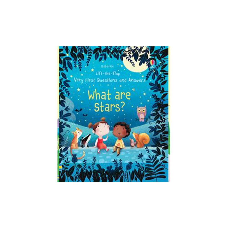 Usborne Lift the Flap Very First Questions: What Are Stars
