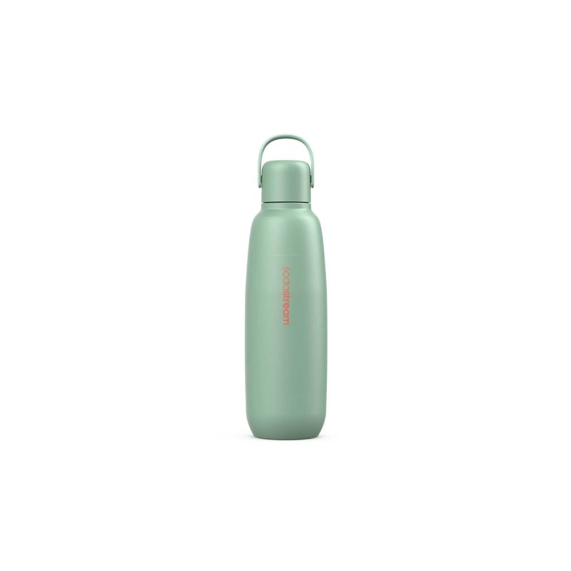 31 fl oz Metal Water Bottle Mint