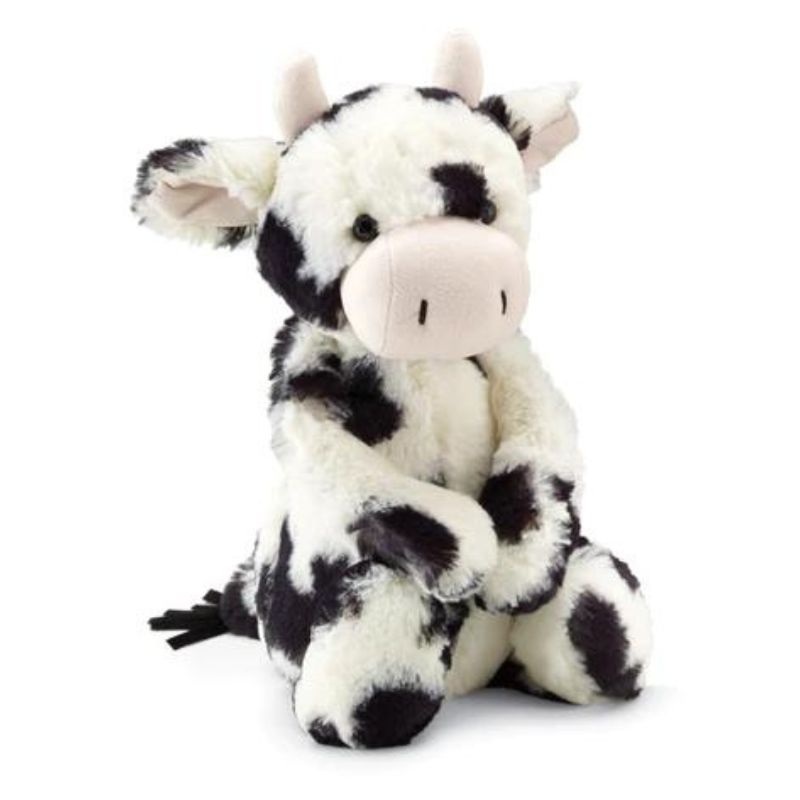 Bashful Calf