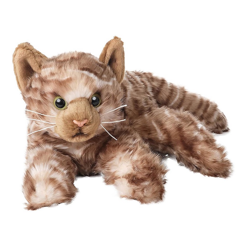 BRG Louie the Brown Tabby Cat