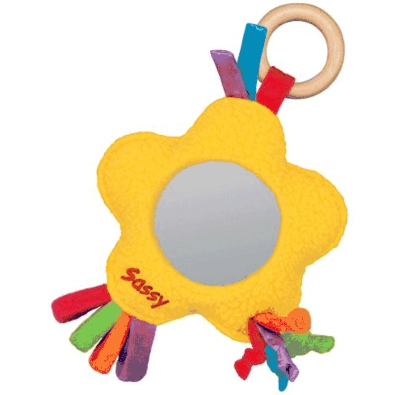 Sassy Earth Brights Wooden See Me Star Toy