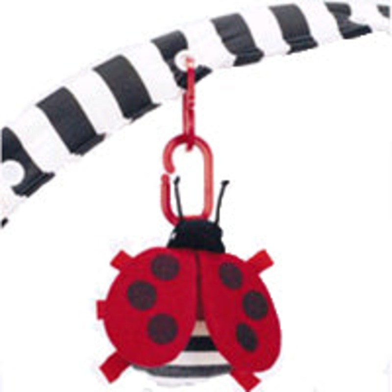 Tiny Love Lady Bug Squeaker Toy