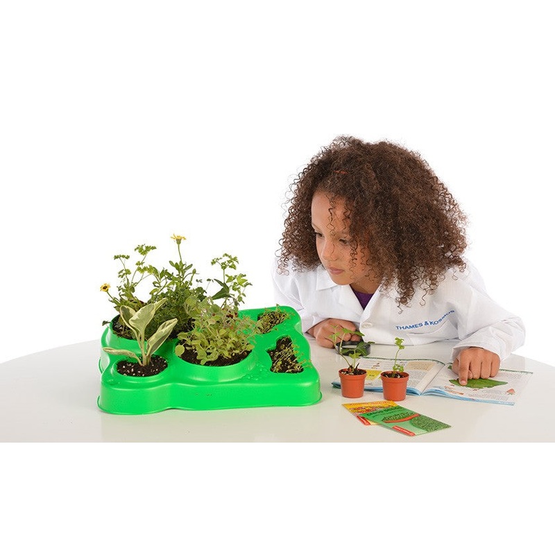 Botany: Experimental Greenhouse