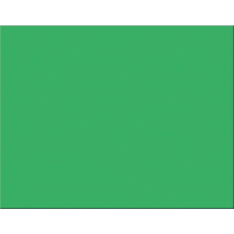 POSTER BOARD 4 PLY HOLIDAY GREEN 100 SHEETS