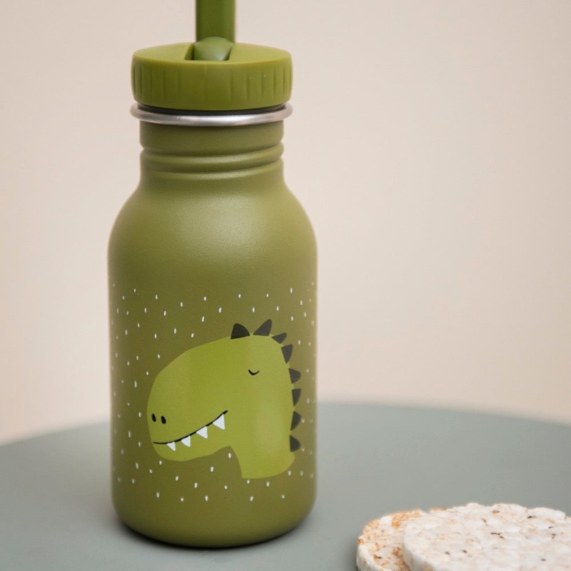 Bottle 350ml – Mr. Dino