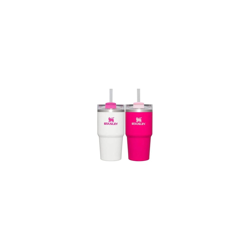 2pk 20oz Stainless Steel H2.0 Flowstate Quencher Tumblers – Pink Vibes/White