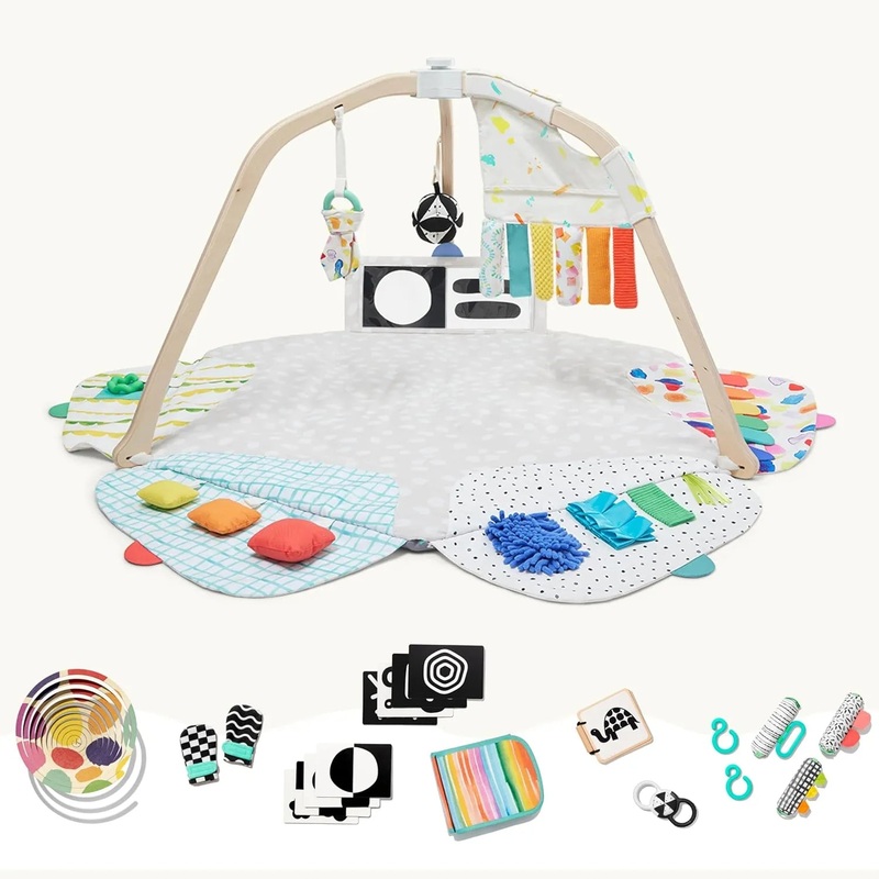 The Newborn Gift Set, Play Gym with Sensory Strands and Looker Play Kit