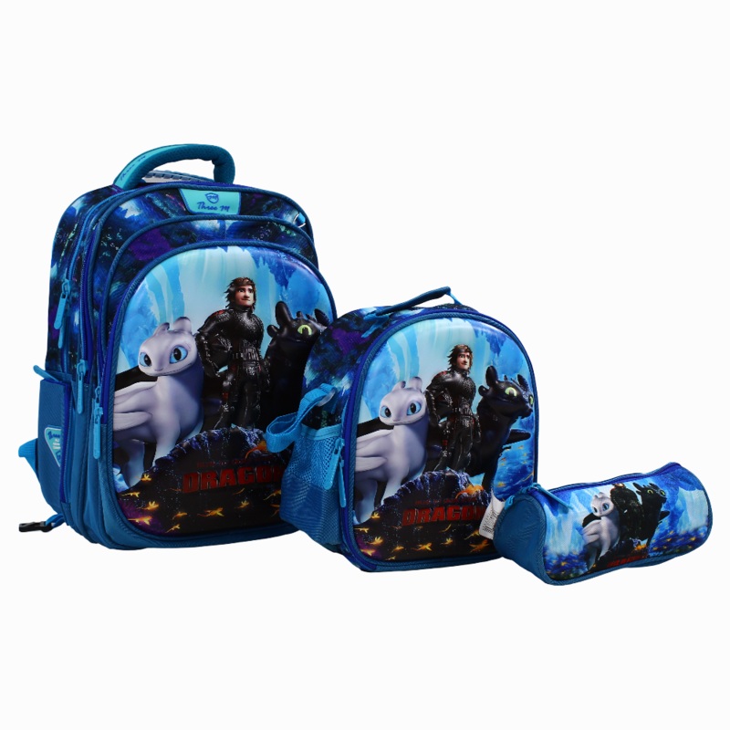 How to Train your Dragon School Set  16 Inches