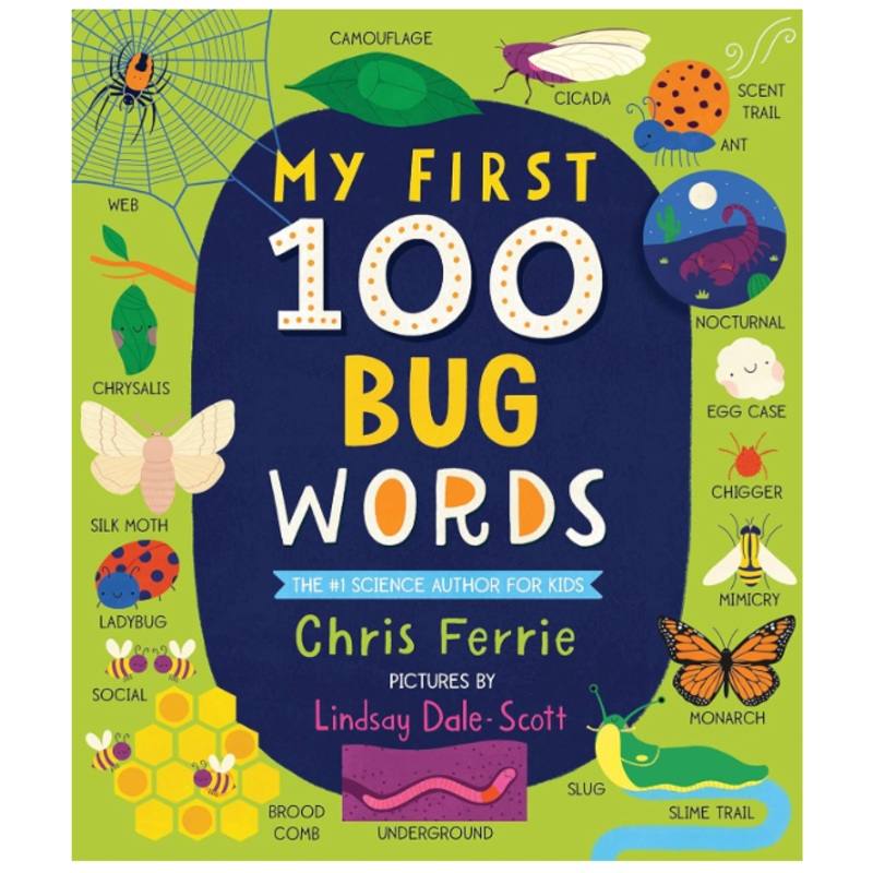 My First 100 Words (BB Padded)
