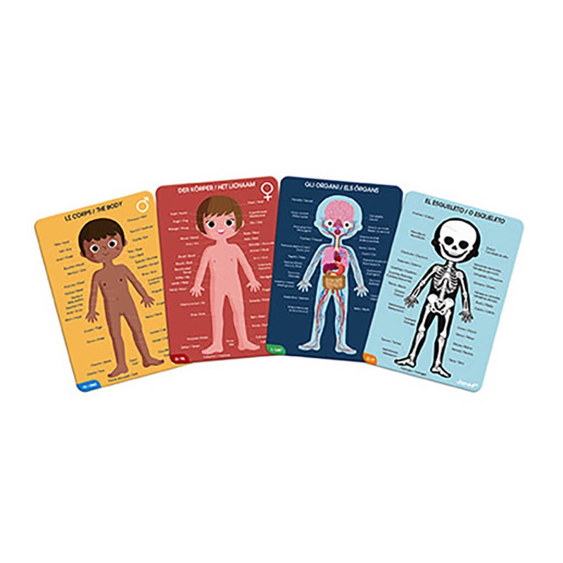 Human Body Educational Puzzle