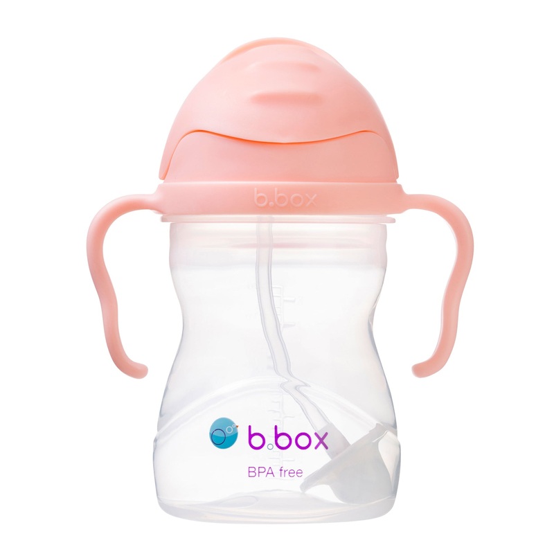 Sippy Straw Cup 240ml Tutti Frutti