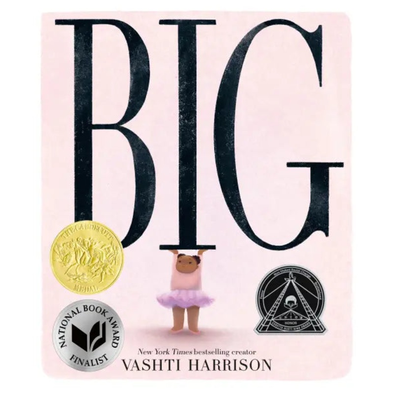 BIG by Vashti Harrison