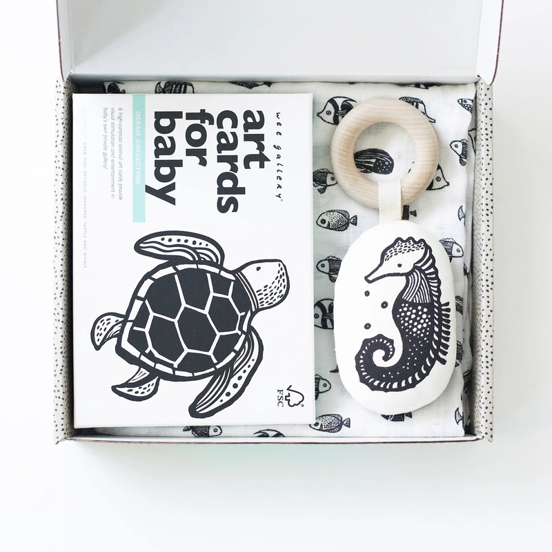 Little Naturalist Gift Set – Ocean