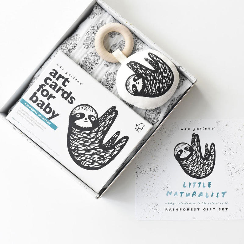 Little Naturalist Gift Set – Rainforest