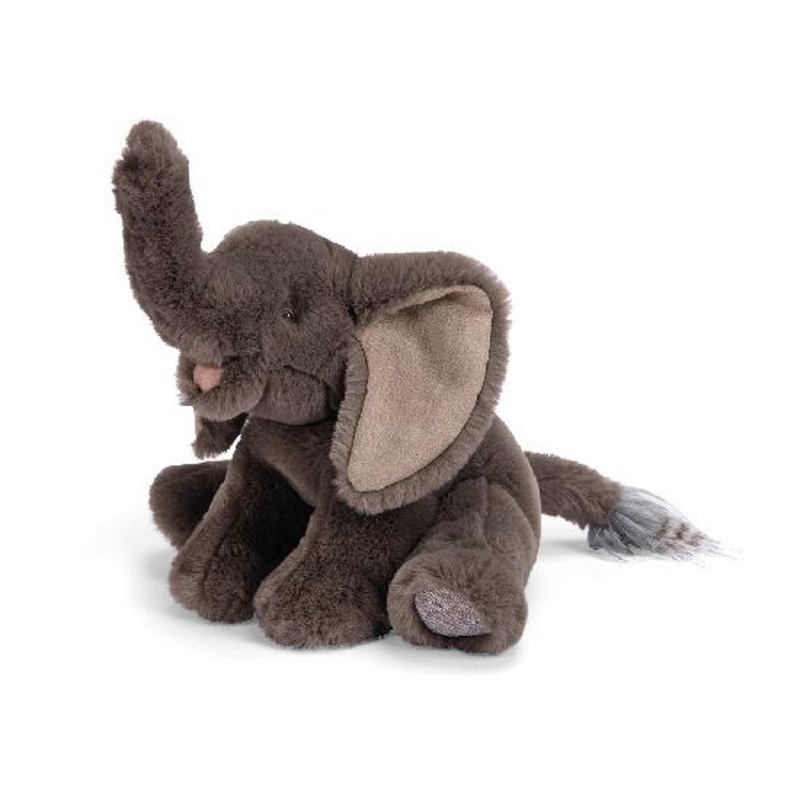 Tout autour du monde – Elephant